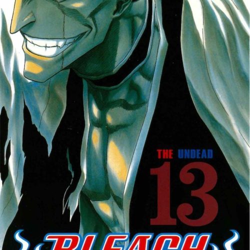 tomo 13 BLEACH