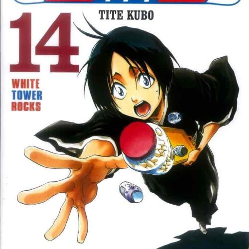 tomo 14 BLEACH